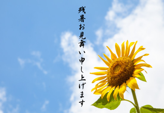 残暑お見舞い申し上げます